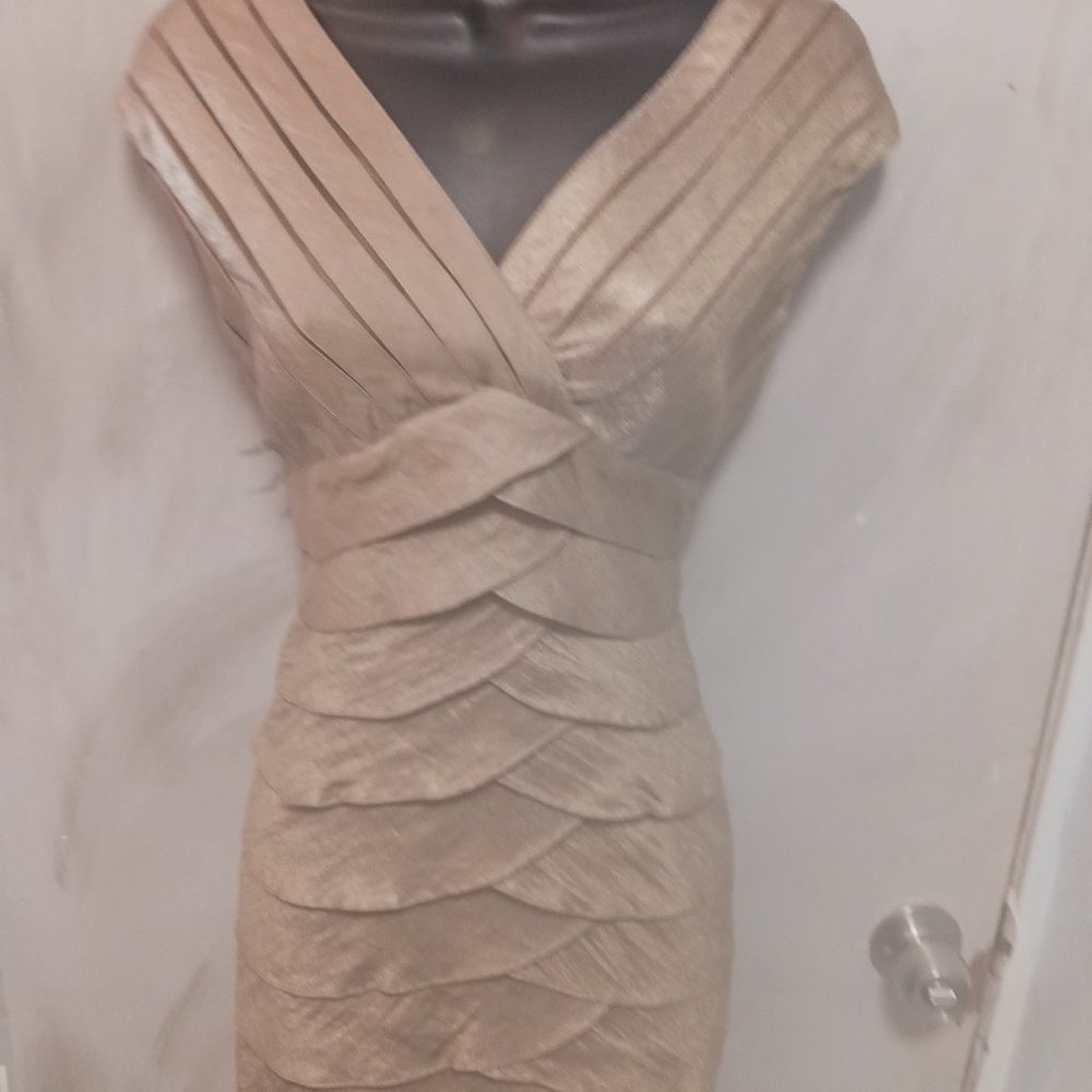Adrianna Papell Cocktail Dress